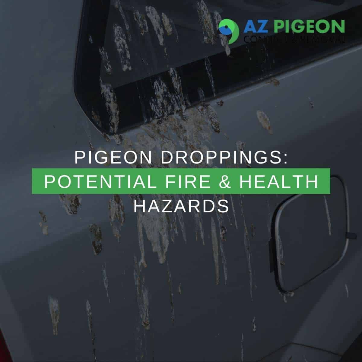 Pigeon Droppings Potential Fire & Health Hazards