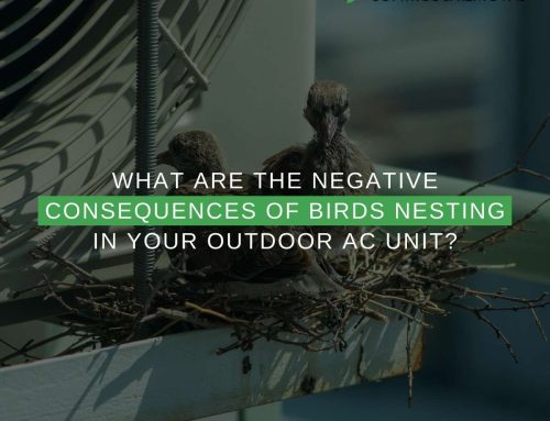 What Are The Negative Consequences Of Birds Nesting In Your Outdoor AC Unit?